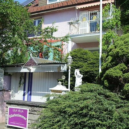 Lila Villa Schwenningen フィリンゲン・シュヴェニンゲン エクステリア 写真